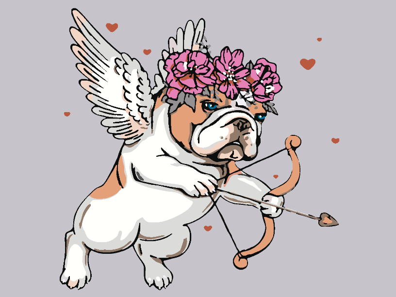 Pictura pe numere - Cainisorul Cupidon 4128