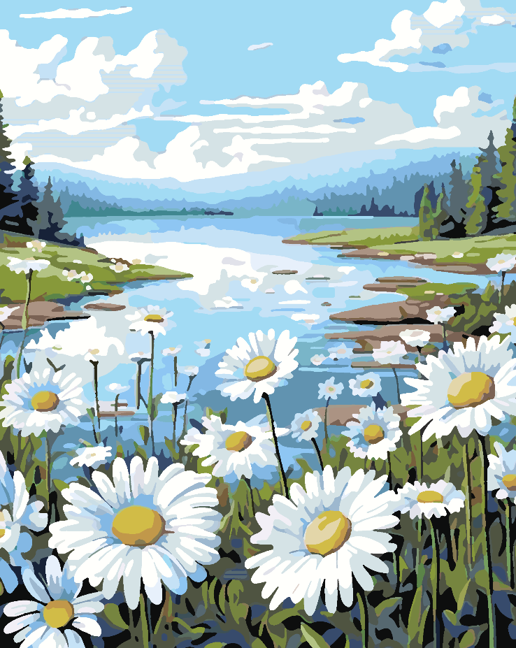 Paint by numbers - Field with Flowers 4326