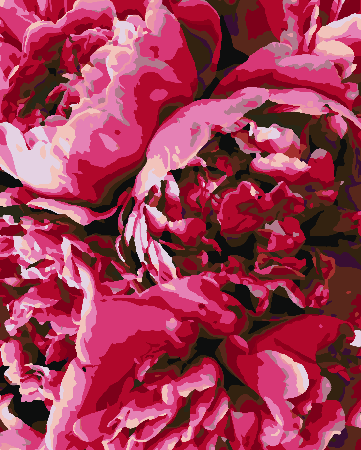 Pictura pe numere - Bujori Roz 4405