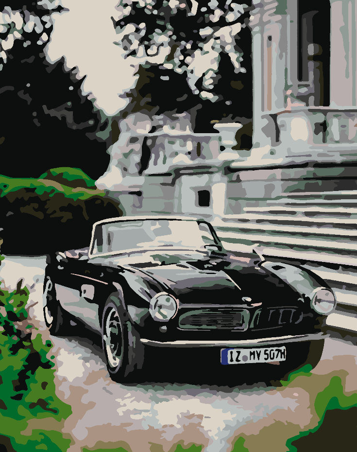 Paint by numbers - BMW 507 1957 4422
