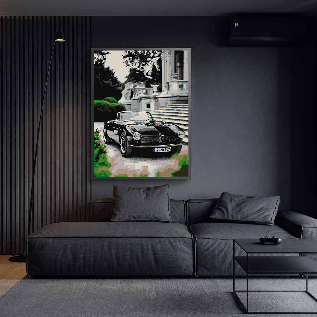 Pictura pe numere - BMW 507 1957 4422