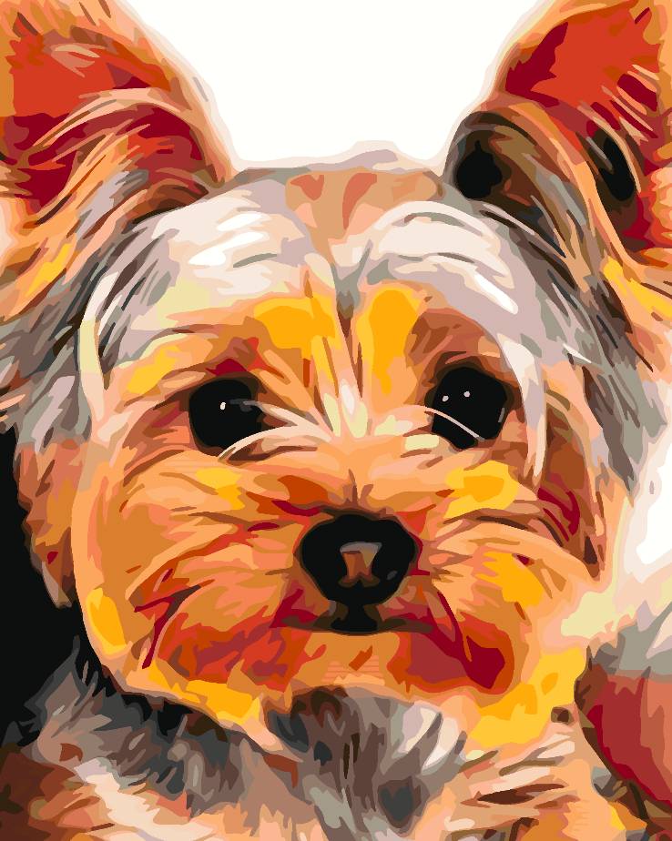 Painting by numbers - York Terrier 4428