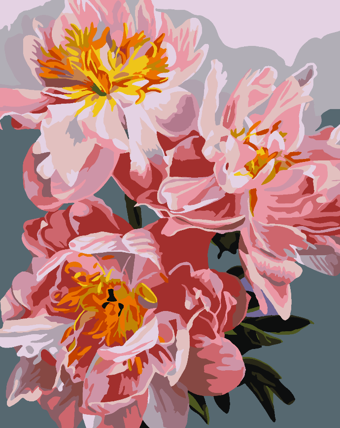 Pictura pe numere - Flori Roz 4483