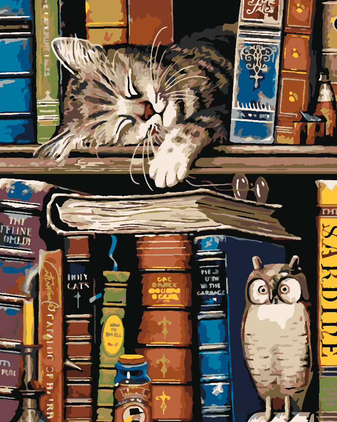 Paint by numbers - Cat on a Bookshelf 4541
