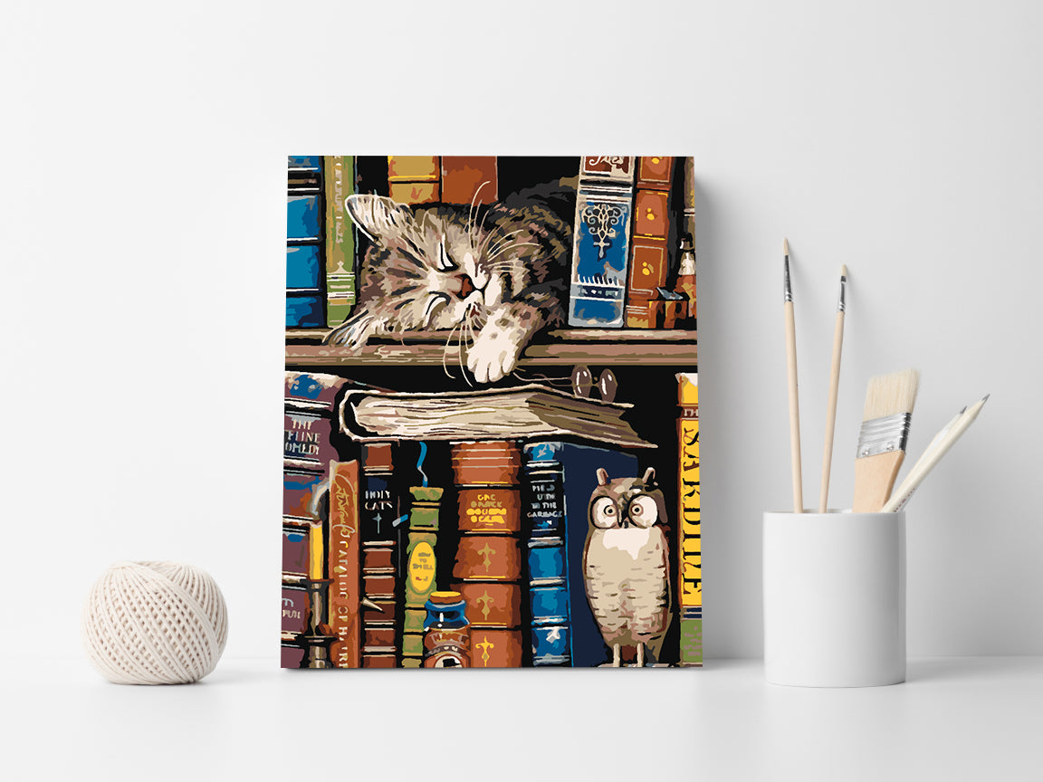 Paint by numbers - Cat on a Bookshelf 4541