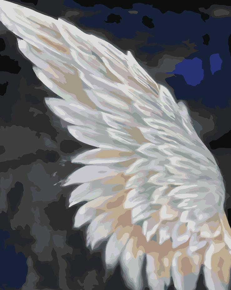 Paint by numbers - White Wing 4658