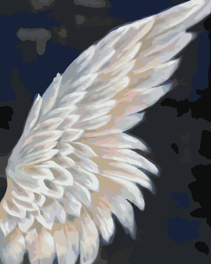 Paint by numbers - White Wing 4659