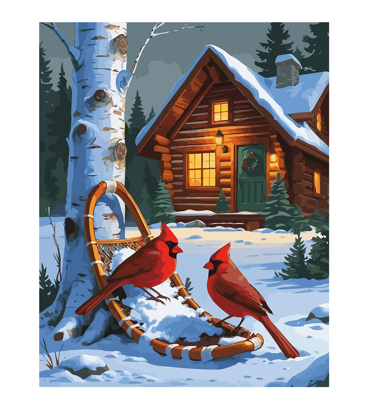 Pictura pe Numere – Pasarele Iarna 6220