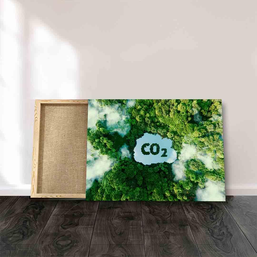 Canvas Painting - CO2