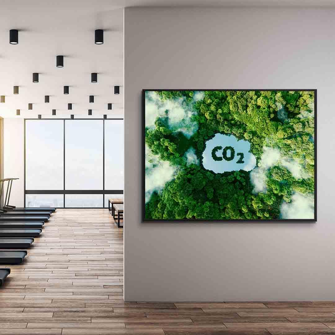 Canvas Painting - CO2