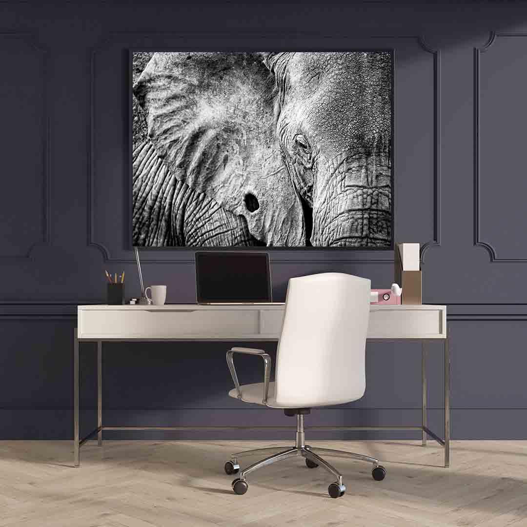 Canvas Painting - Black and White Elephant