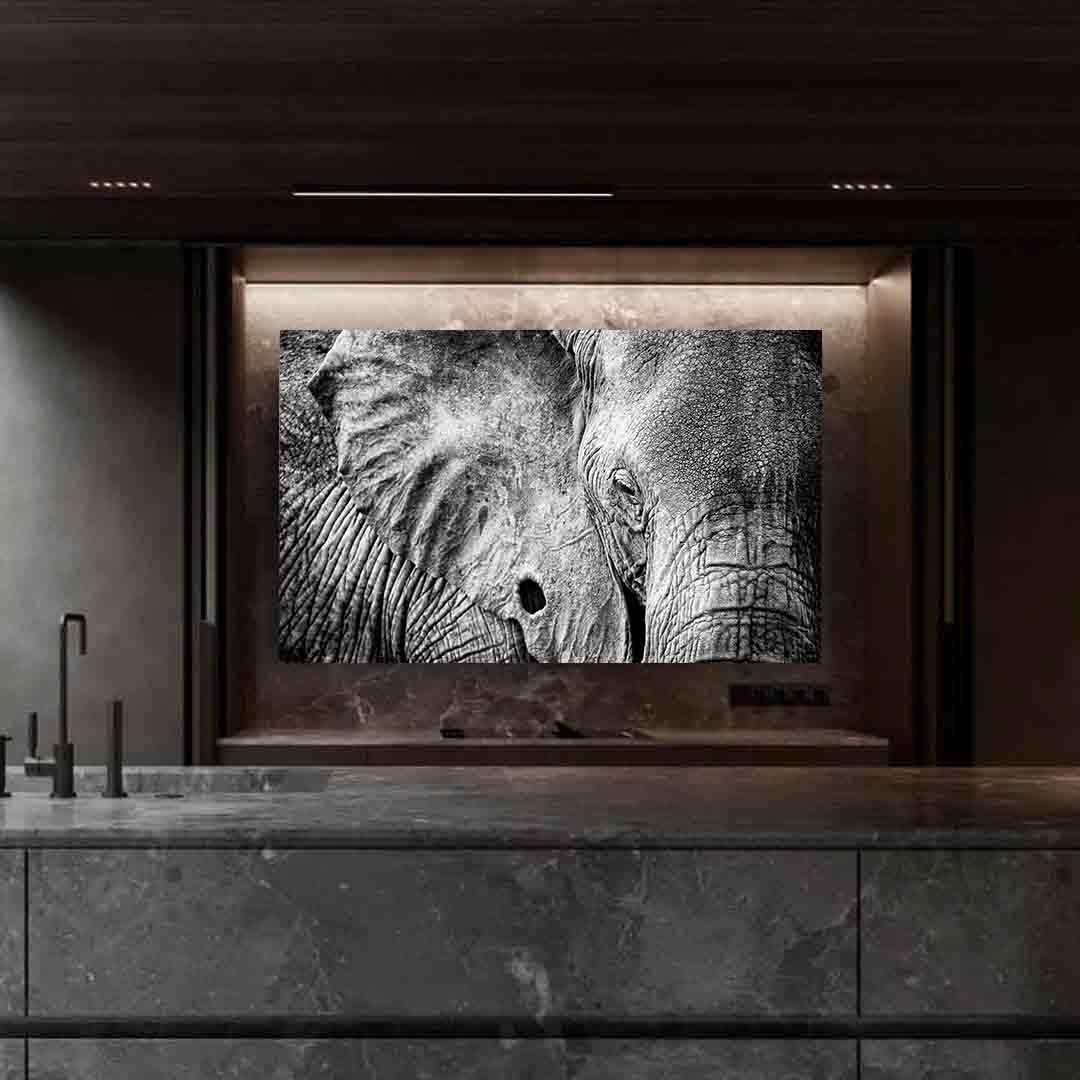 Canvas Painting - Black and White Elephant