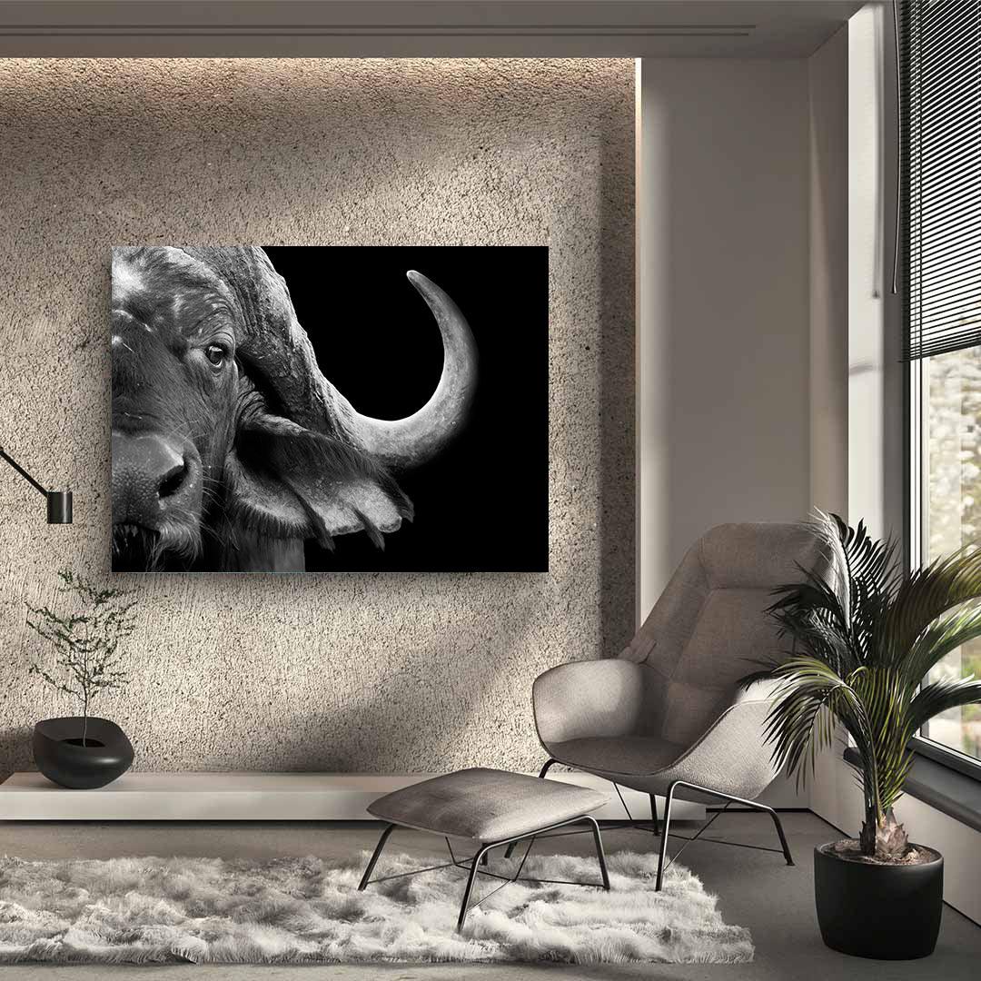 Canvas Painting - Black and White Buffalo