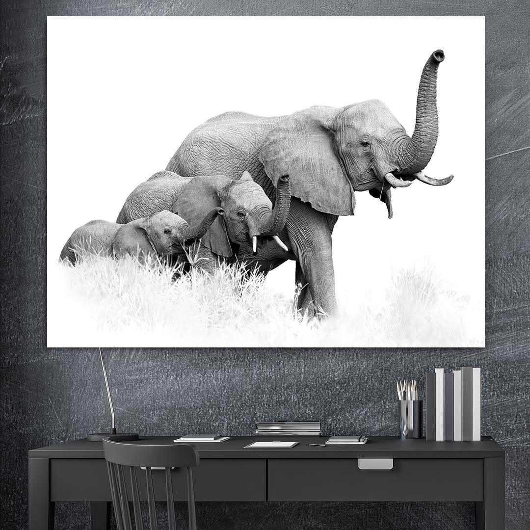 Canvas Painting - Three Elephants