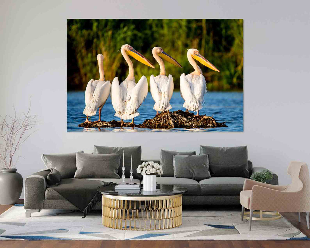 Tablou Canvas - Pelicani la Delta Dunarii