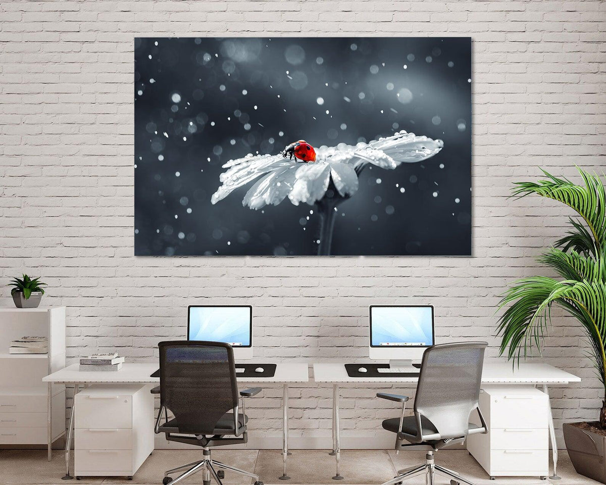 Canvas Painting - Ladybug on the Romanian Tree