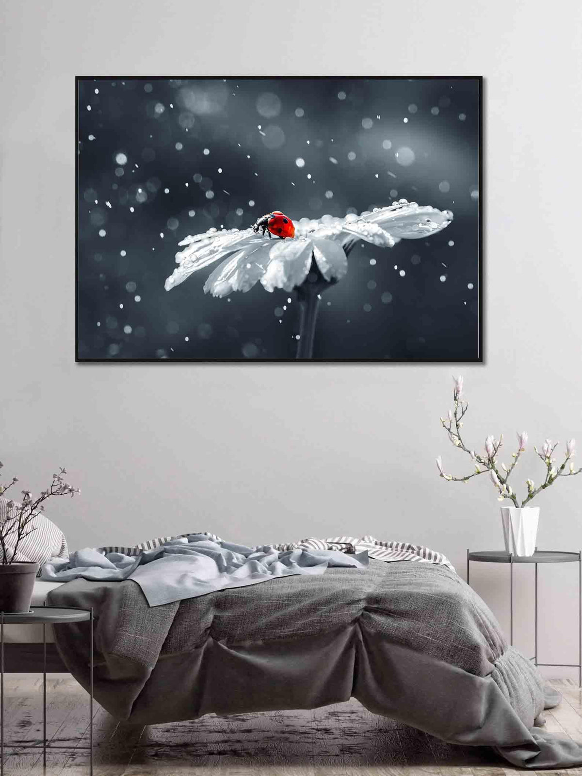 Tablou Canvas - Buburuza pe romanita