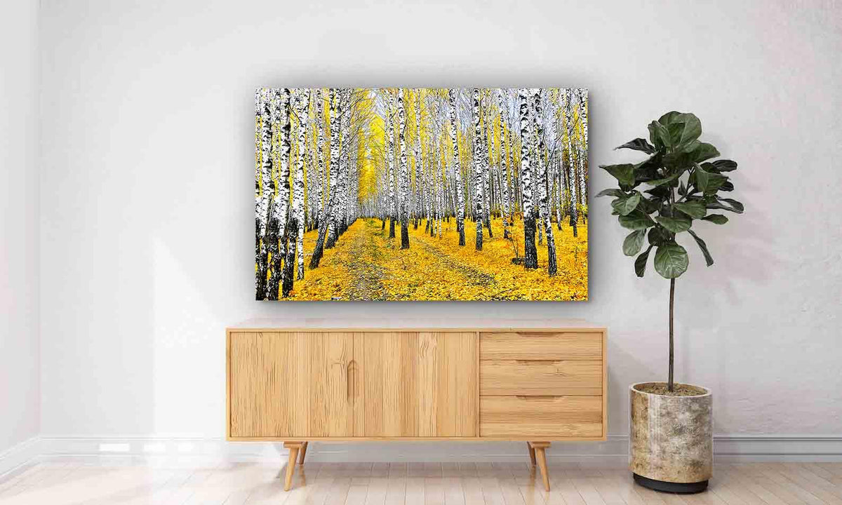Canvas Painting - Autumn Birch Forest