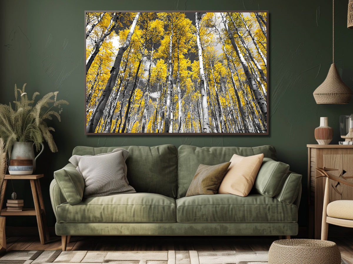 Canvas Painting - Tall Birches