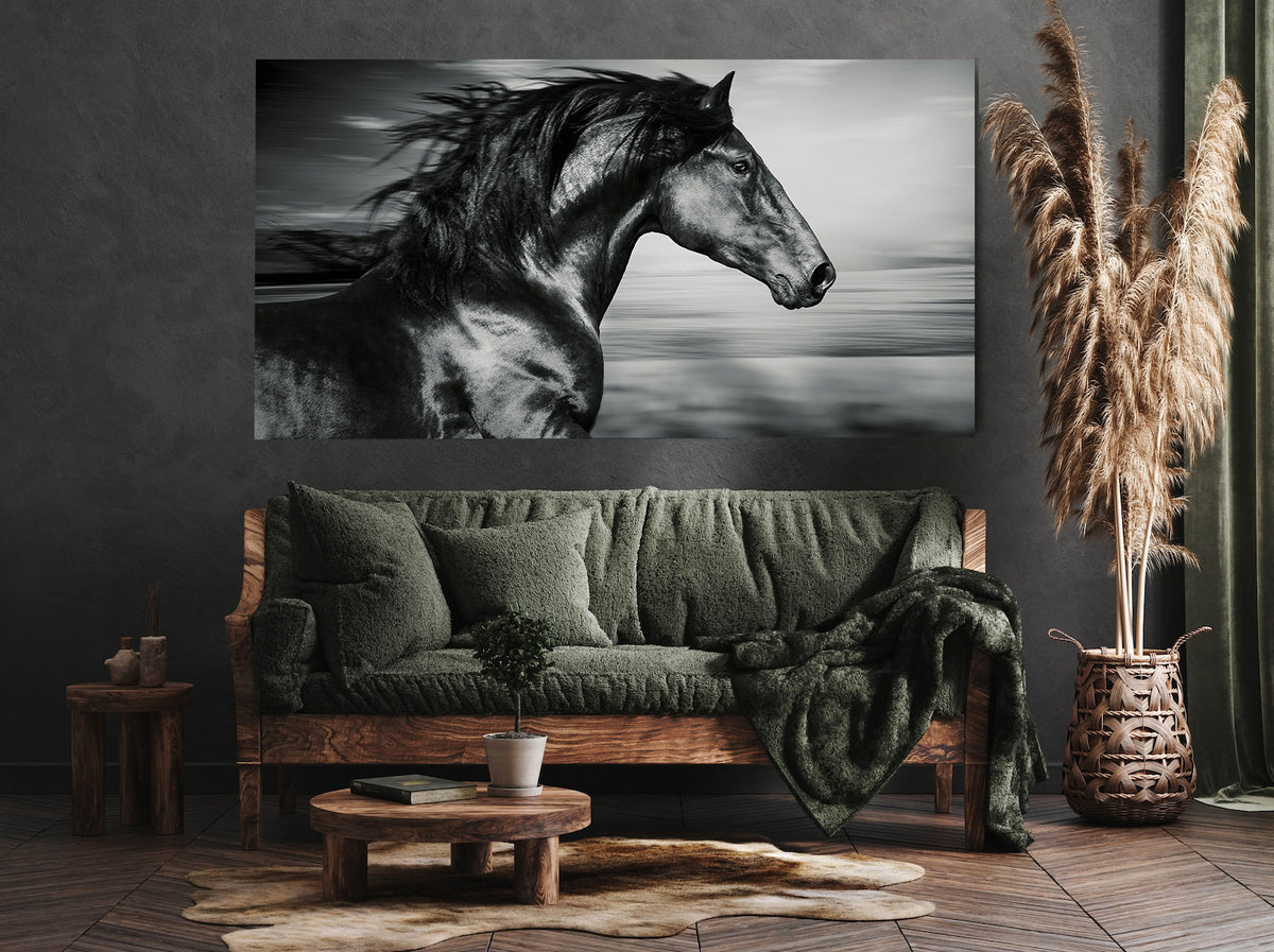 Canvas Painting - Black Sport Horse
