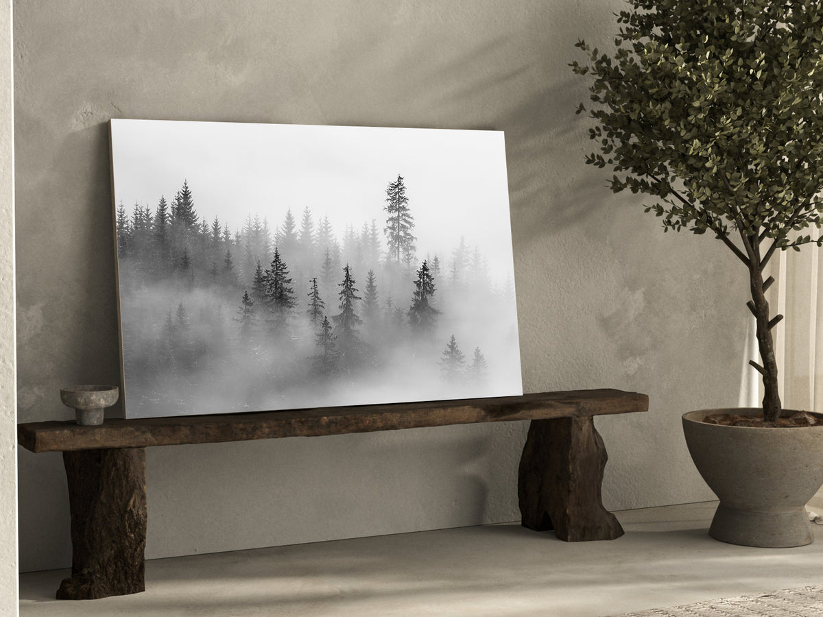 Tablou Canvas - Padure in Ceata