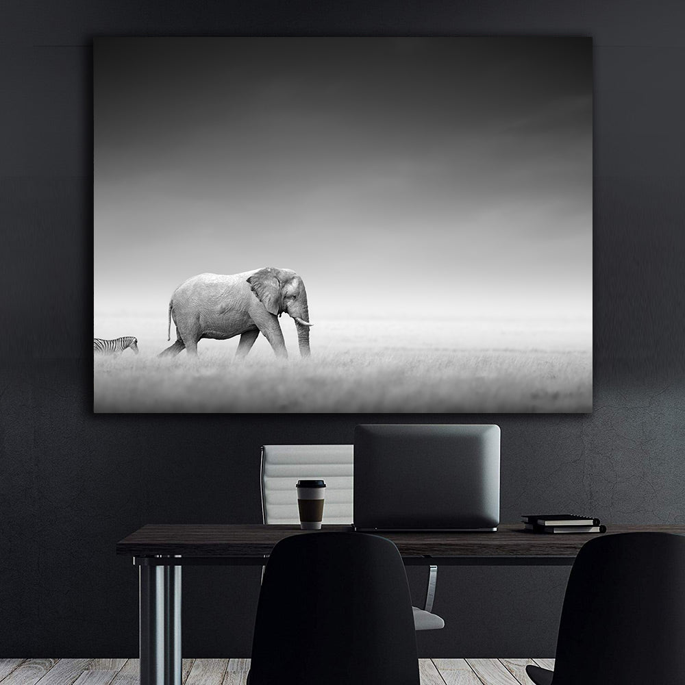 Canvas Painting - Black and White Animals