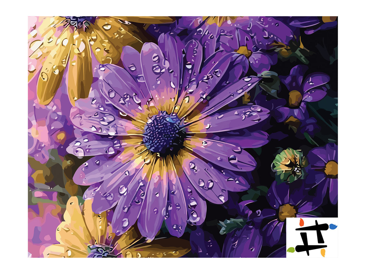 Pictura pe Numere – Margarete africane 7291