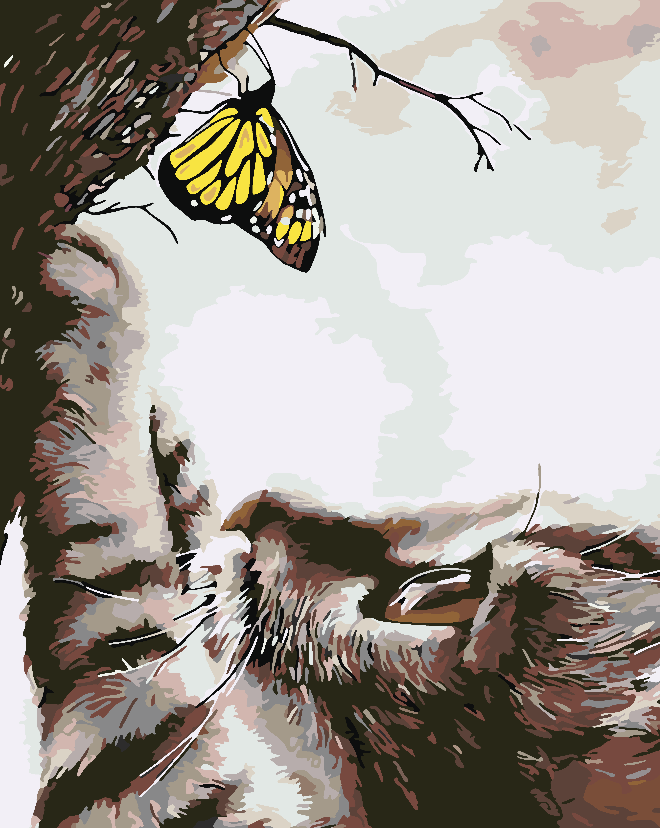Paint by numbers - Cat and Butterfly 4195