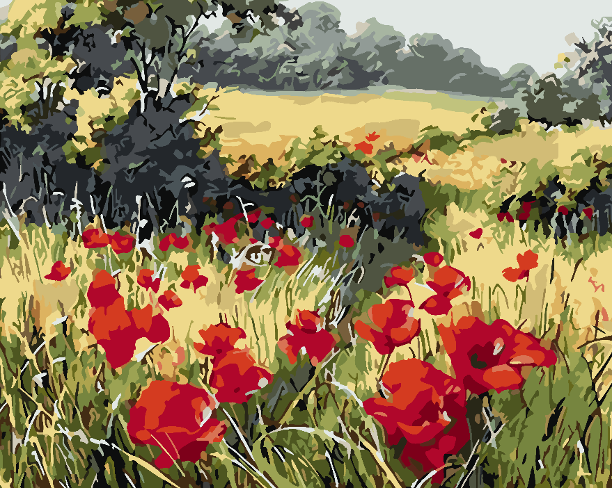 Paint by numbers - Poppy Field 4203