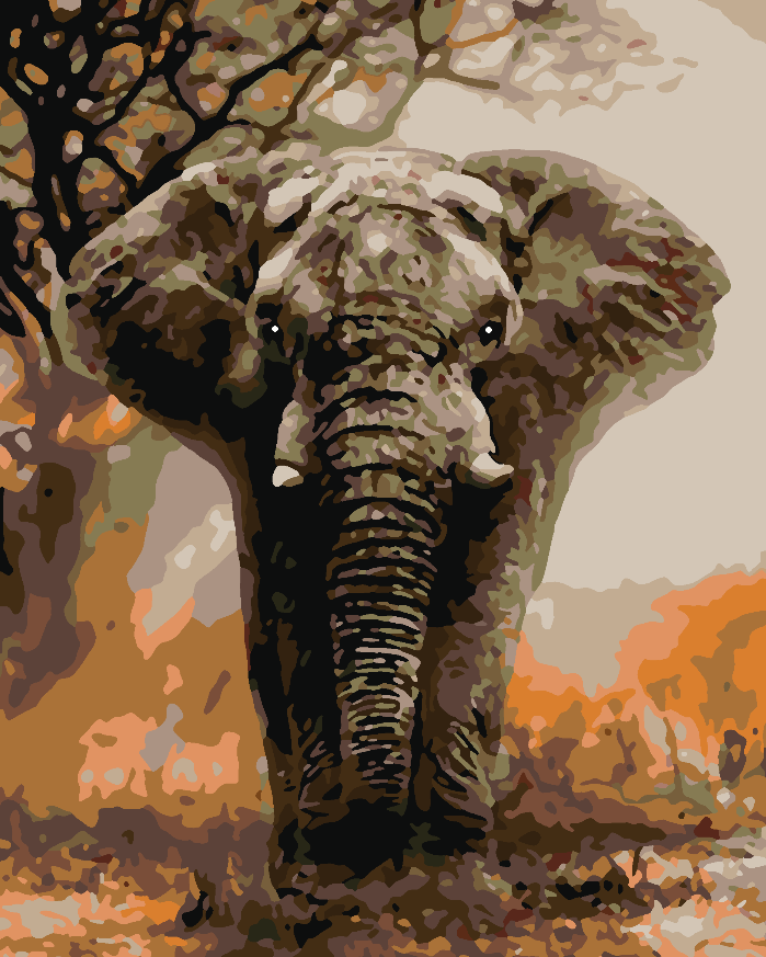 Pictura pe numere - Elefant 4406