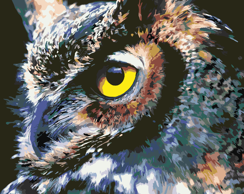 Paint by numbers - Beautiful Owl 4416
