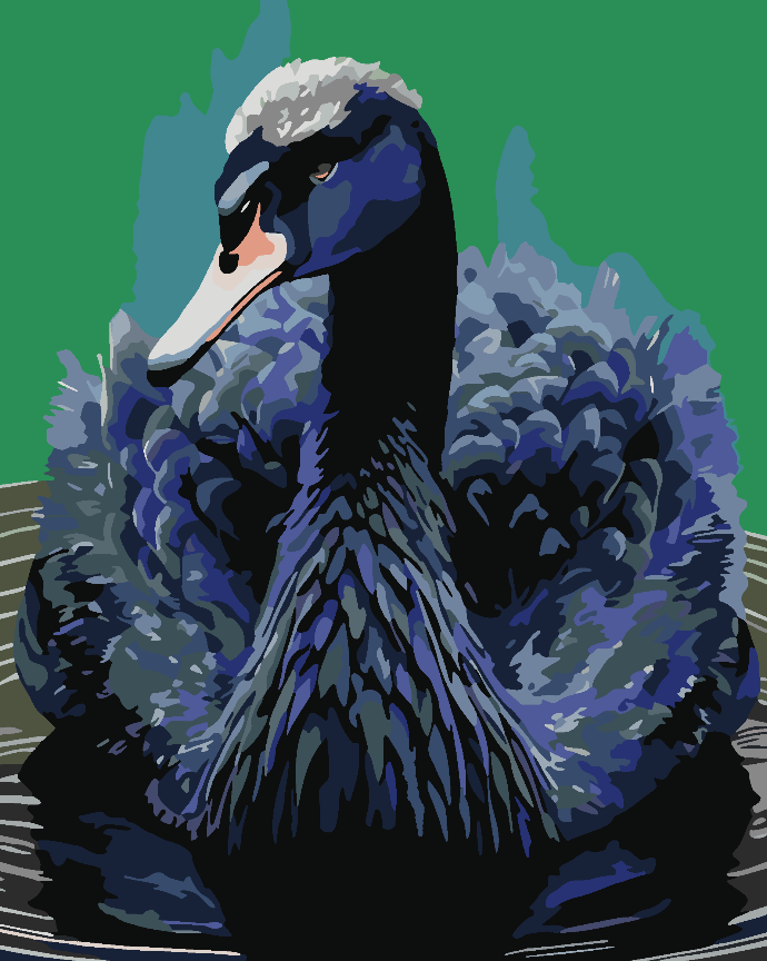 Paint by numbers - Black Swan 4522