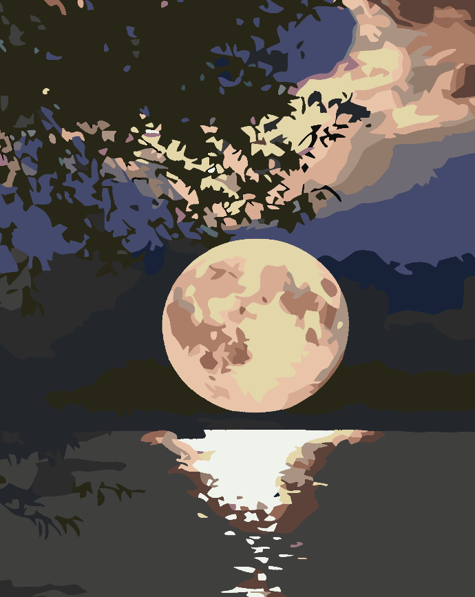 Paint by numbers - Full Moon Night 4554