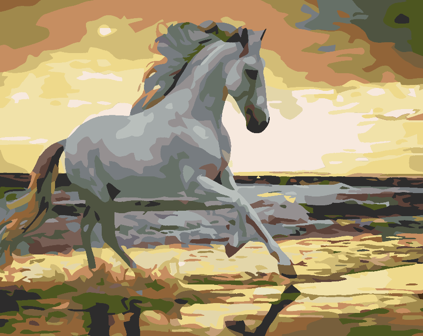 Paint by numbers - White Horse on the Beach 4562