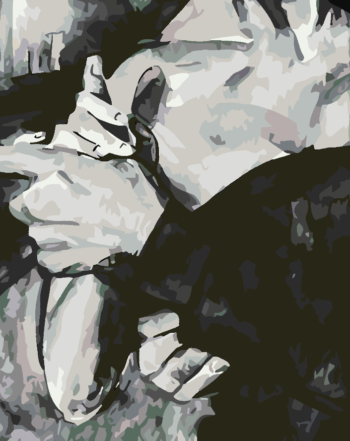 Paint by numbers - Love Black and White 4632