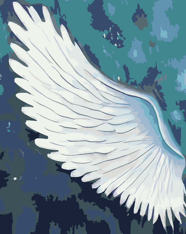Paint by numbers - White Wing 4660