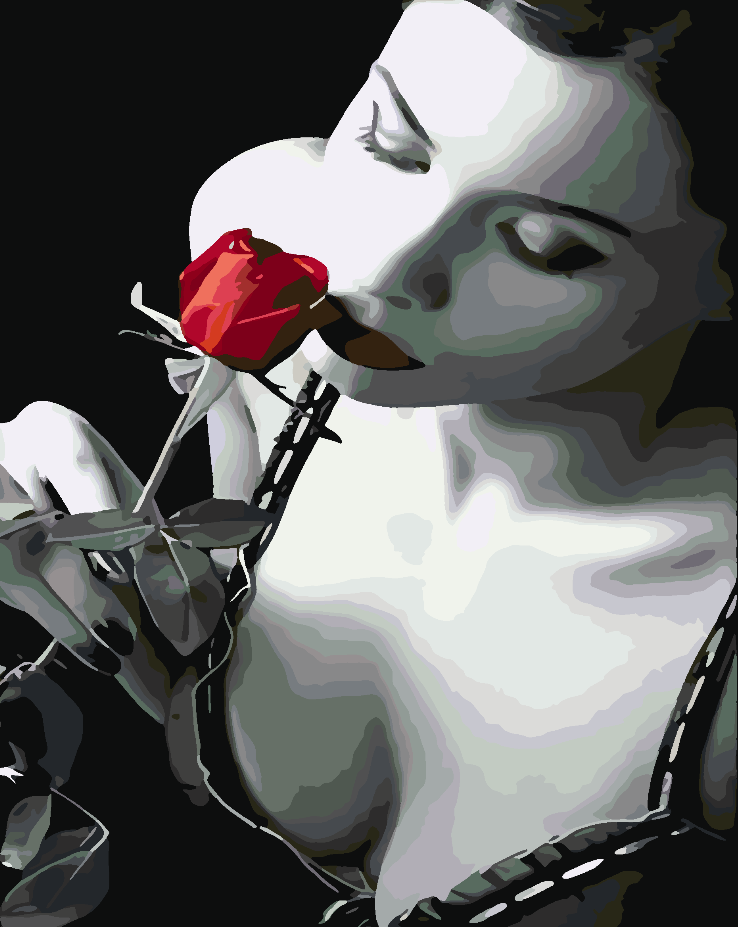 Paint by numbers - Woman and Red Rose 4670