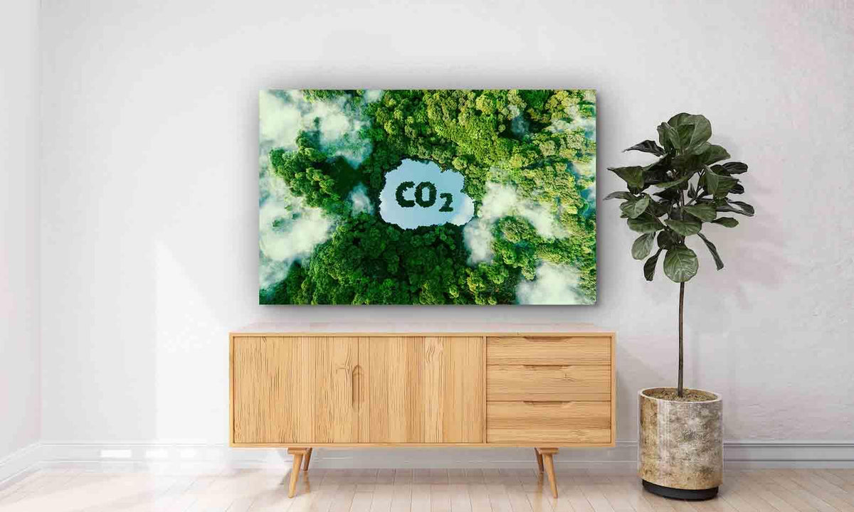 Canvas Painting - CO2