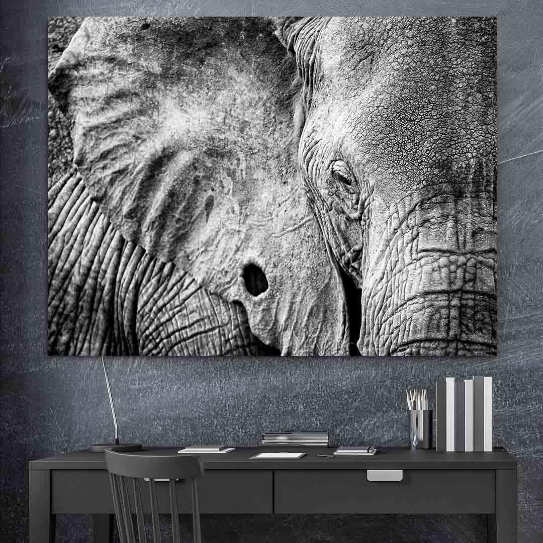 Canvas Painting - Black and White Elephant