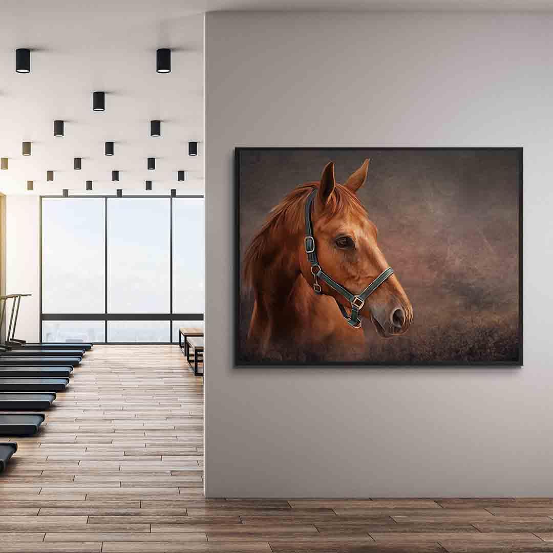 Canvas Painting - Horse Portrait