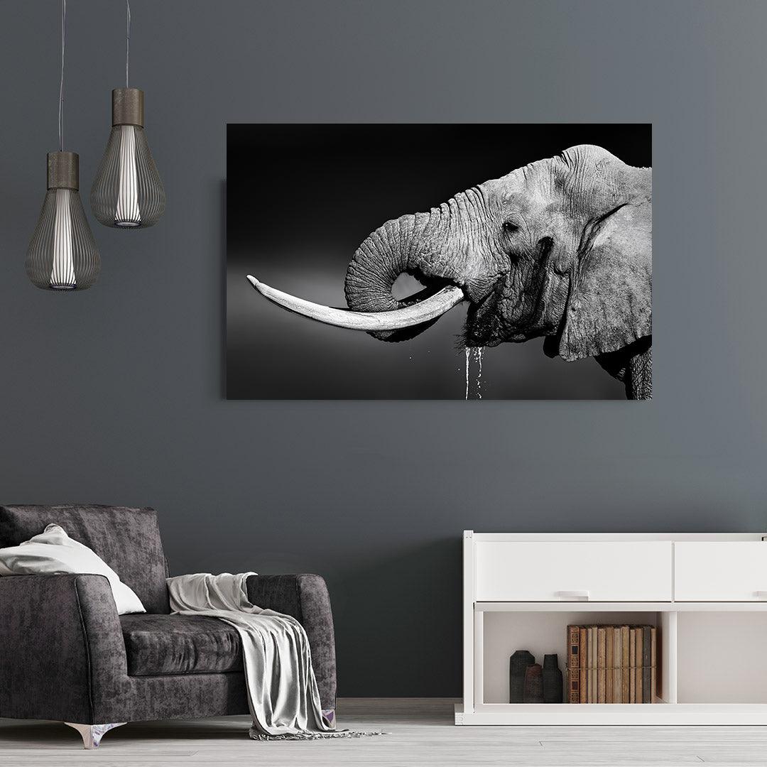 Canvas Painting - Elephant Portrait