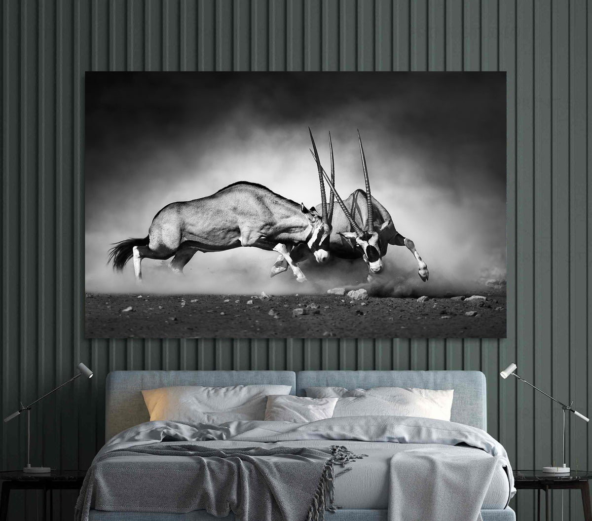 Tablou Canvas - Beisa Sud-Africana
