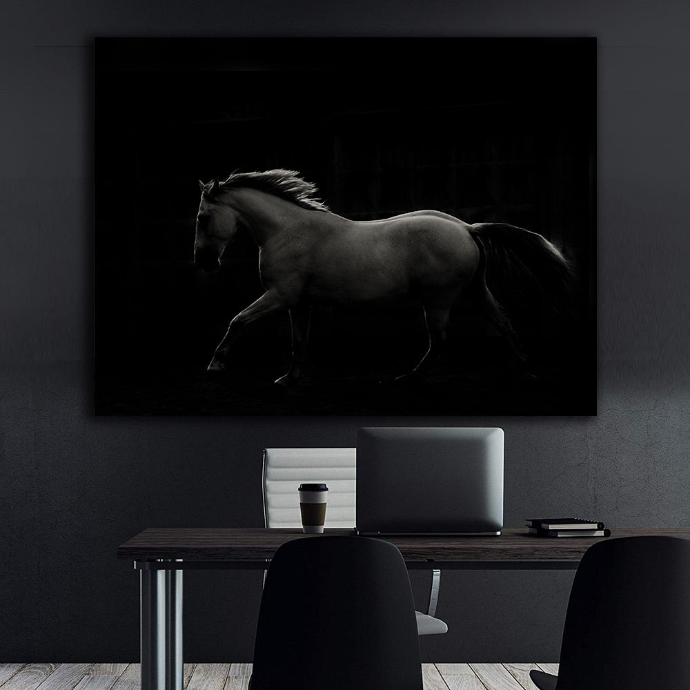 Canvas Painting - Black and White Stallion