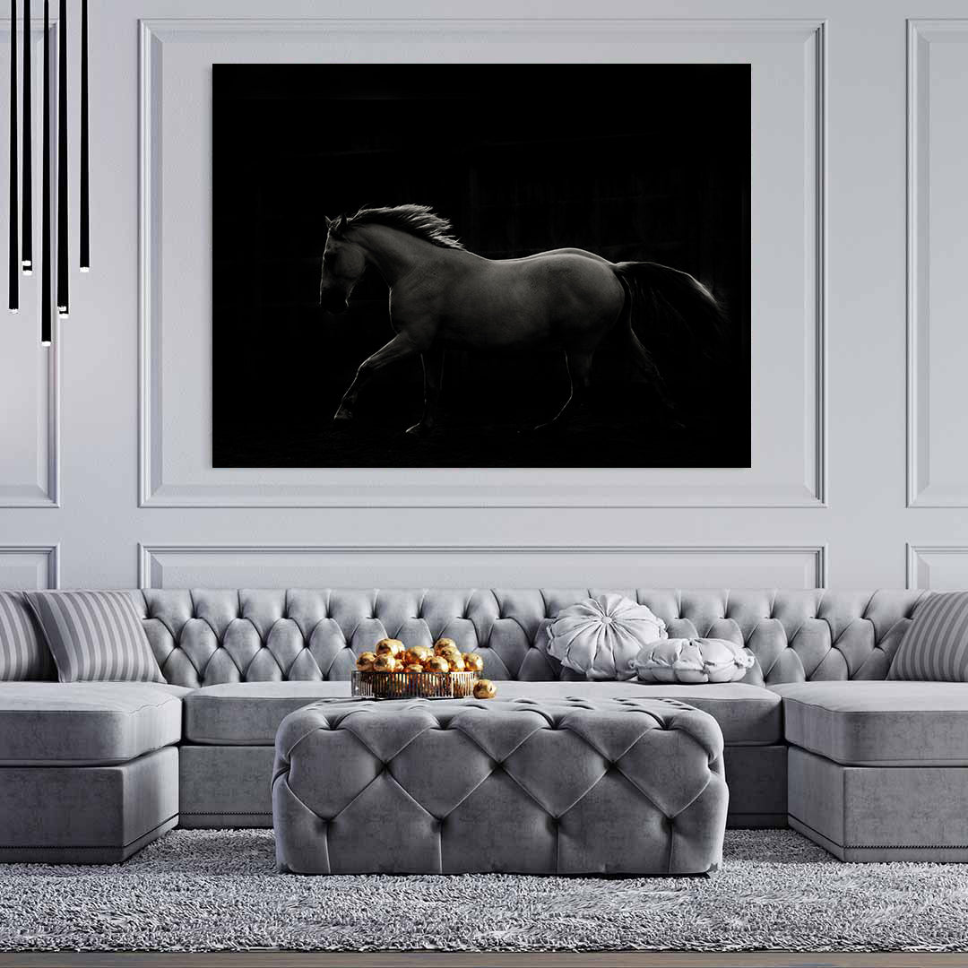 Canvas Painting - Black and White Stallion