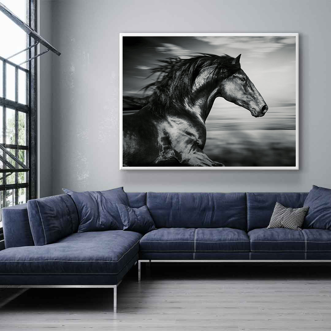 Canvas Painting - Black Sport Horse