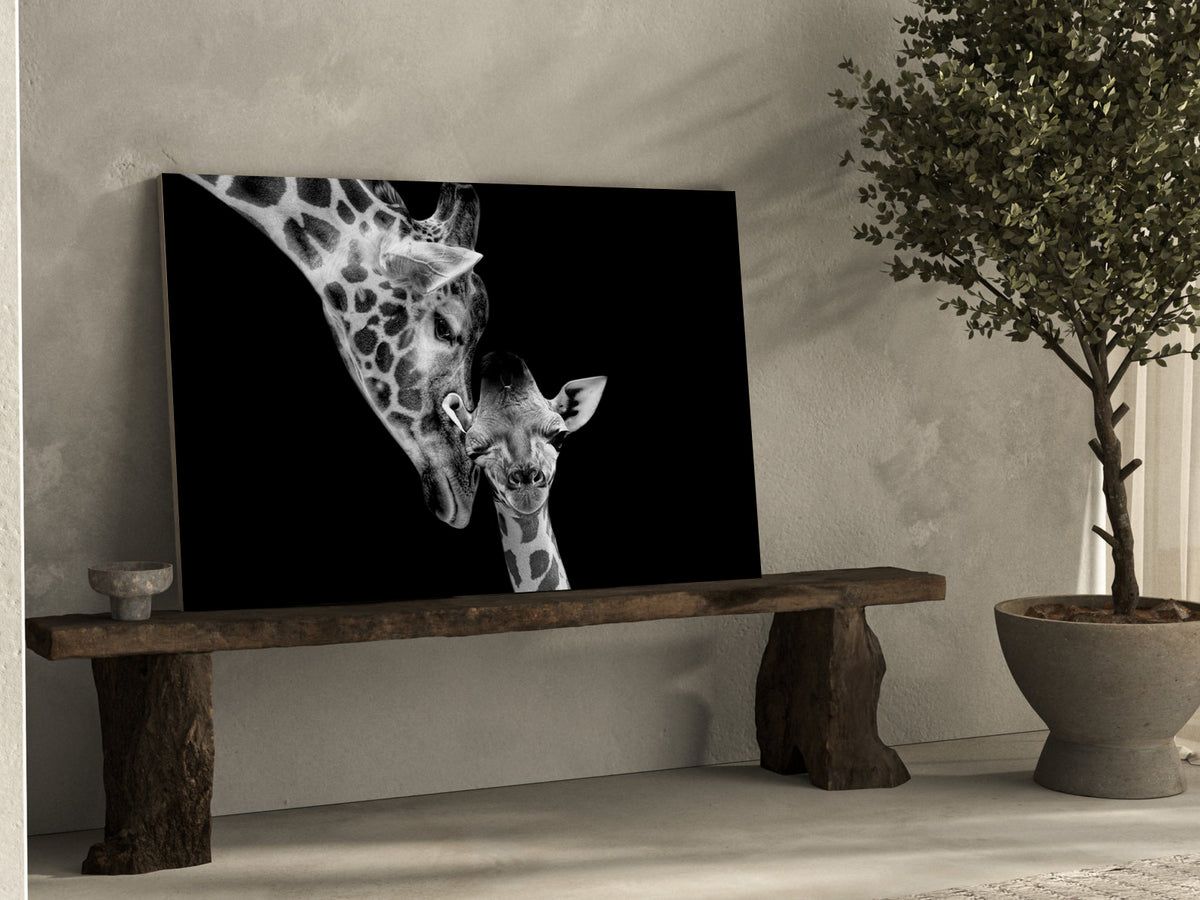 Canvas Painting - Black and White Giraffes