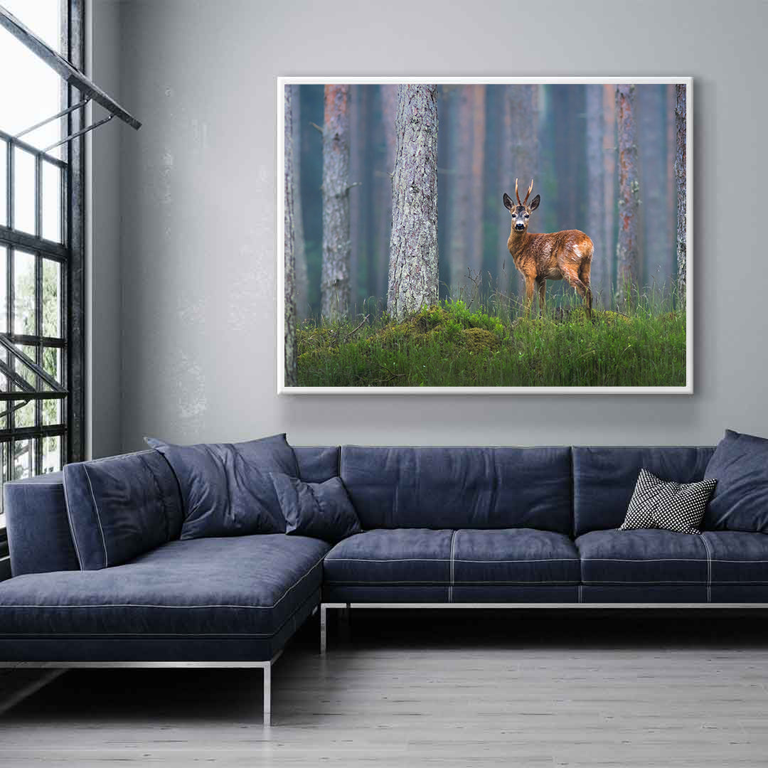 Canvas Painting - Deer in the Forest