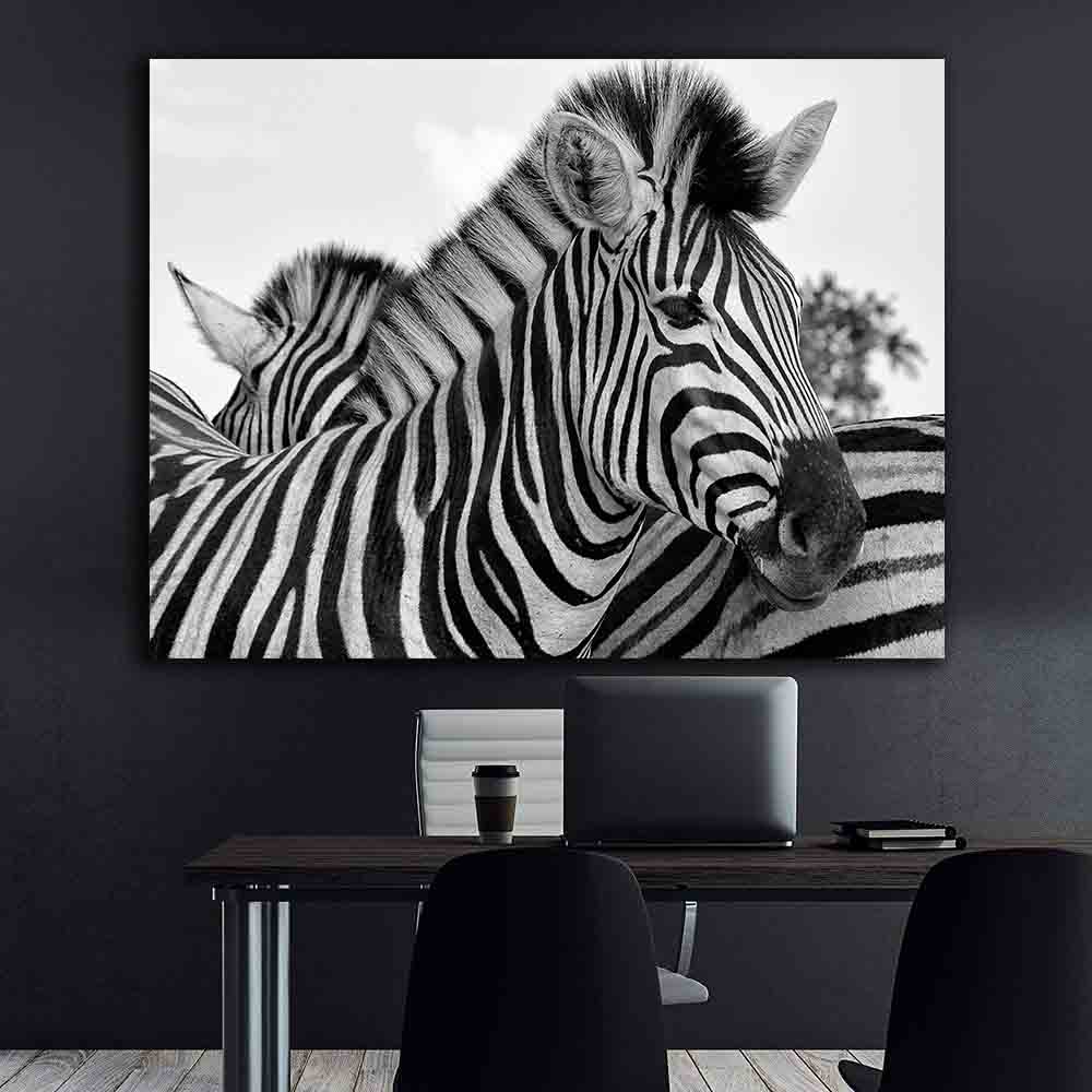 Canvas Painting - Black and White Zebra Portrait